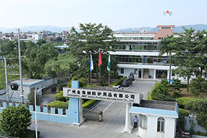 Branch