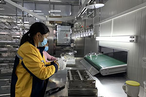 Quality Inspection